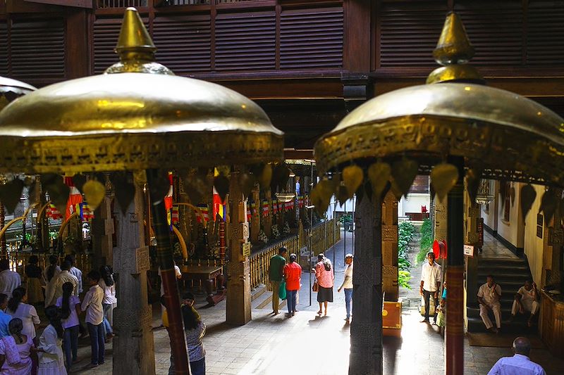 Découverte du Sri Lanka, entre trajet insolite en train, site majestueux, safari et nuit au monastère bouddhiste.