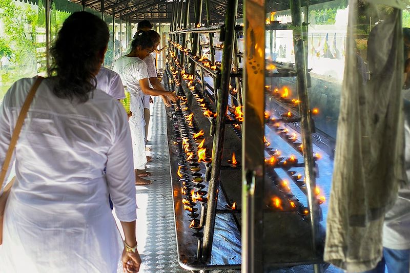 Découverte du Sri Lanka, entre trajet insolite en train, site majestueux, safari et nuit au monastère bouddhiste.