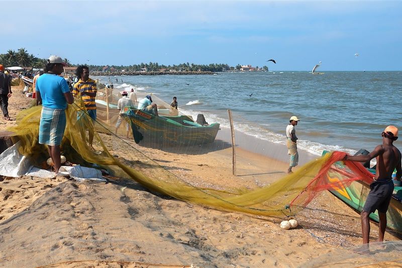 Page de Negombo - Sri Lanka