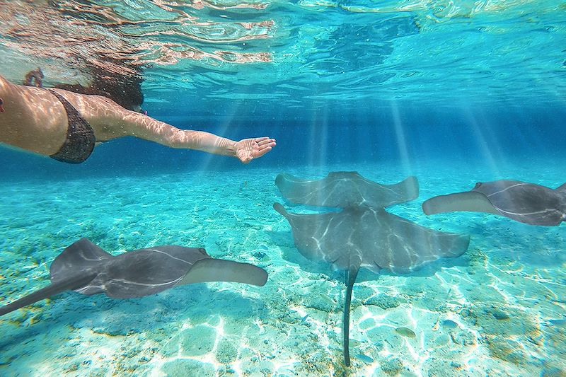 Snorkeling aux Maldives