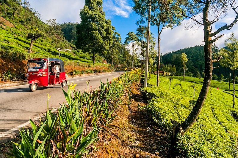 Tuk-tuk dans le district de Nuwara Eliya - Sri Lanka