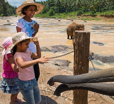 Voyages en famille Sri Lanka