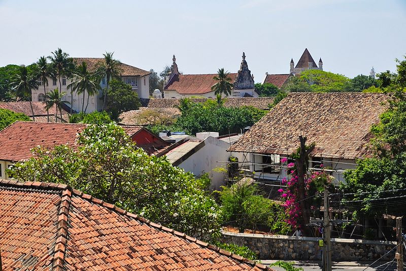 Ascension de l'Adam's Peak, randonnée dans les villages, baignade aux cascades, visite des plantations de thé d'Haputale