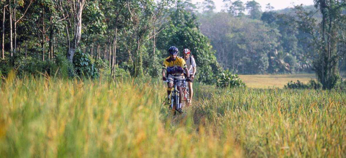 Découverte du Sri Lanka en VTT et à pied. Entre Sigirîya, Polonnaruwa, Kandy, Galle et Mirissa... 