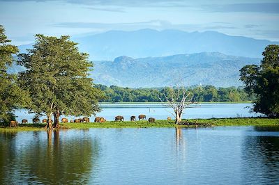 voyage Sri Lanka