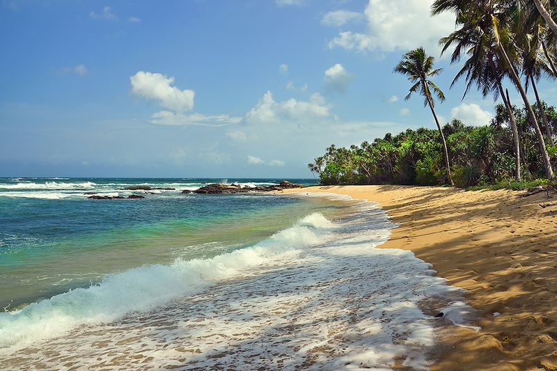 Best of du Sri Lanka en écolodge, entre découverte hors des sentiers battus et safari au milieu d'une nature préservée !