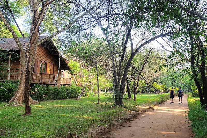 Best of du Sri Lanka en écolodge, entre découverte hors des sentiers battus et safari au milieu d'une nature préservée !