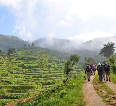 Trek et randonnée Sri Lanka