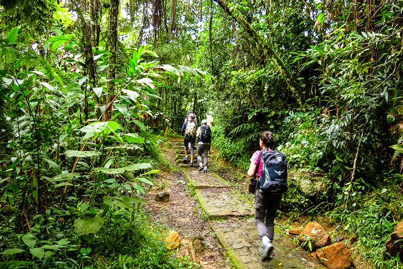 Un circuit guidé sur la RN7 et le sud est de Madagascar, de Tana à Tuléar puis d'Itampolo à Fort Dauphin hors des sentiers battus