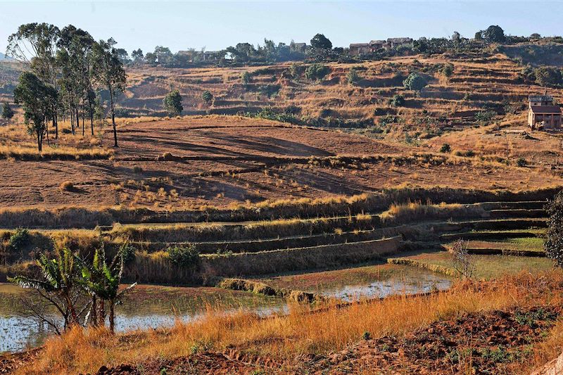 Un circuit guidé sur la RN7 et le sud est de Madagascar, de Tana à Tuléar puis d'Itampolo à Fort Dauphin hors des sentiers battus