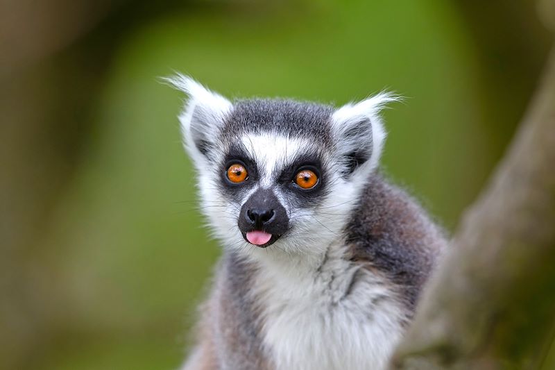 Un circuit guidé sur la RN7 et le sud est de Madagascar, de Tana à Tuléar puis d'Itampolo à Fort Dauphin hors des sentiers battus