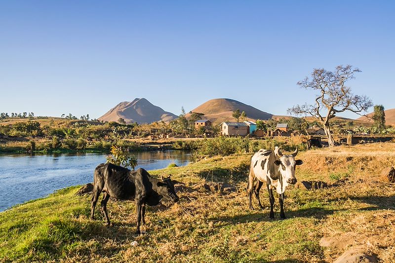 Un circuit guidé sur la RN7 et le sud est de Madagascar, de Tana à Tuléar puis d'Itampolo à Fort Dauphin hors des sentiers battus