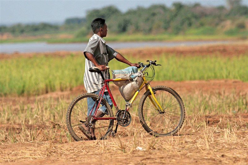 Voyage à Madagascar avec un guide avec la découverte de la célèbre allée des Baobabs et randonnée dans les Tsingy de Bemaraha