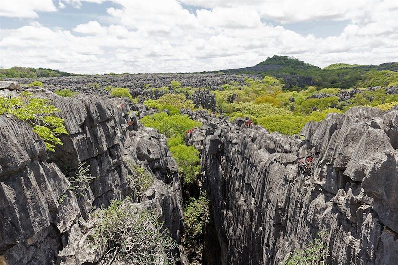Tsingy dans le parc national d'Ankarana - Madagascar