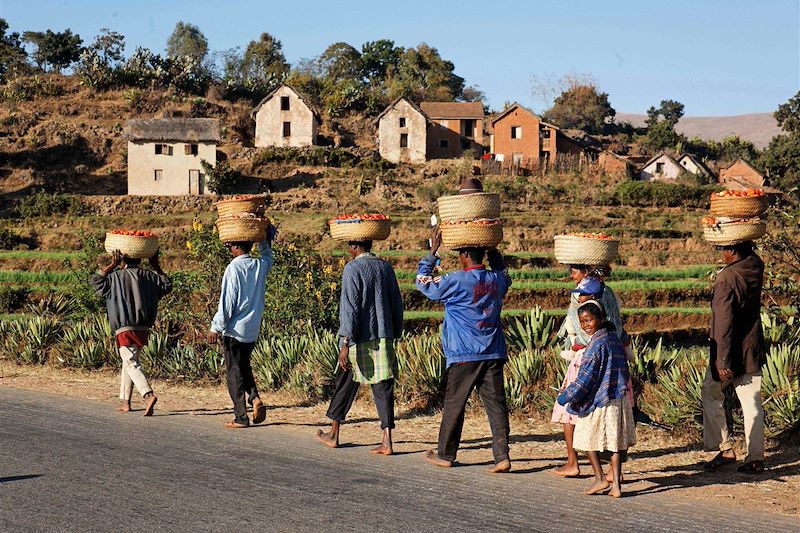 Voyage guidé à Madagascar sur la rivière Tsiribihina en pirogue et nuits en bivouac et découverte de l'Ouest en 14 jours