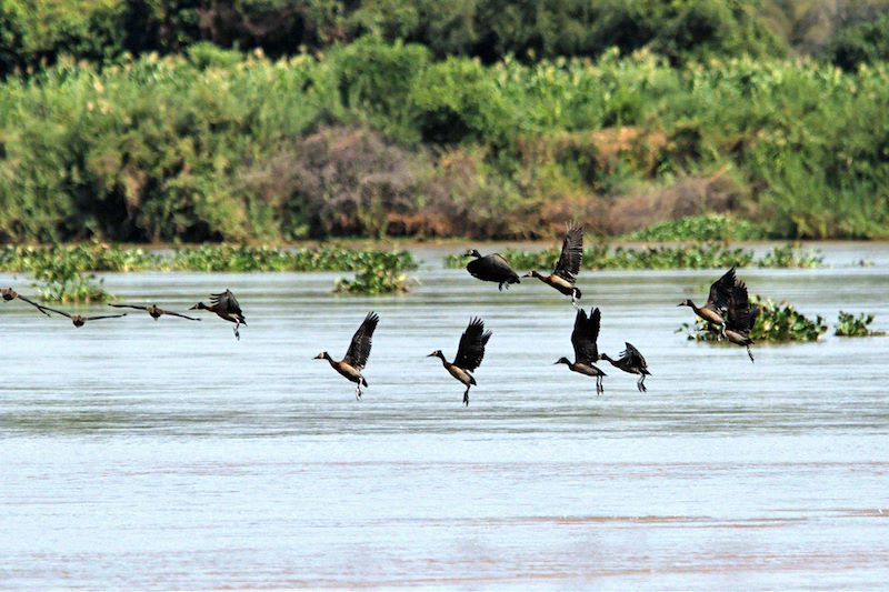 Voyage guidé à Madagascar sur la rivière Tsiribihina en pirogue et nuits en bivouac et découverte de l'Ouest en 14 jours