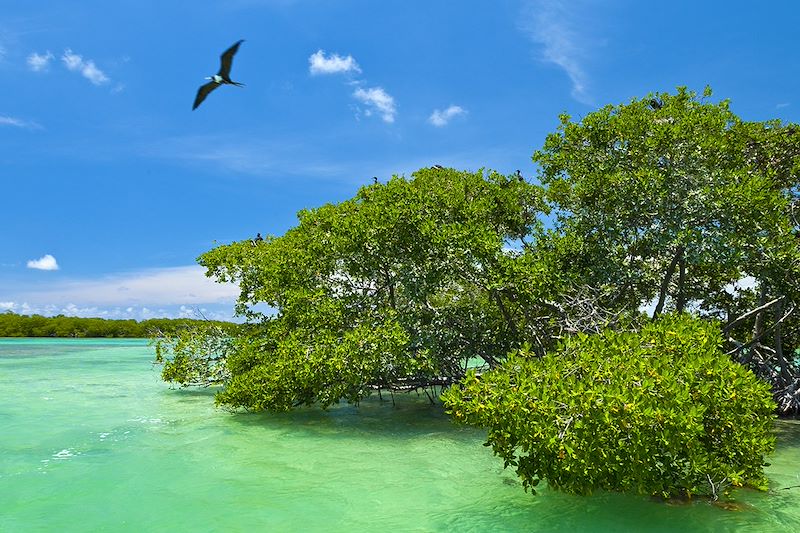 Circuit au Mexique en famille de Chichen Itza à Tulum, de Bacalar à Sian Ka'an avec baignades en cenote & dans la mer des Caraïbes