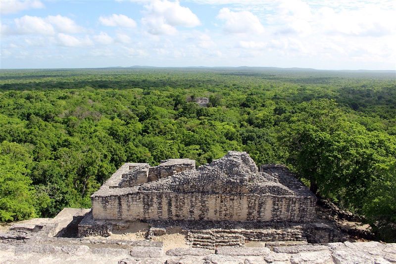 Ruines de Calakmul - Campeche - Mexique