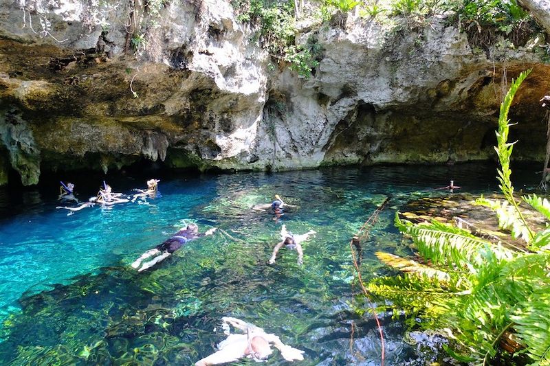 Grand Cenote - Tulum - Péninsule du Yucatan - Mexique