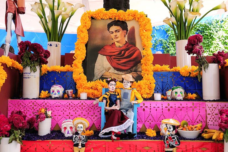 Sur les traces de Frida Kahlo & Diego Rivera