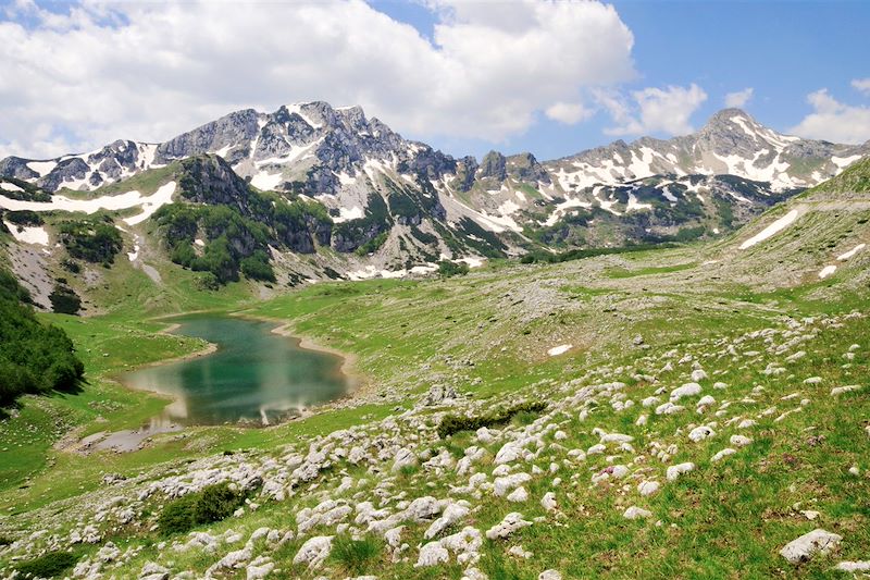 Road trip d'une semaine à la découverte des incontournables du pays : Bouches de Kotor, Parc du Durmitor et lac de Skadar