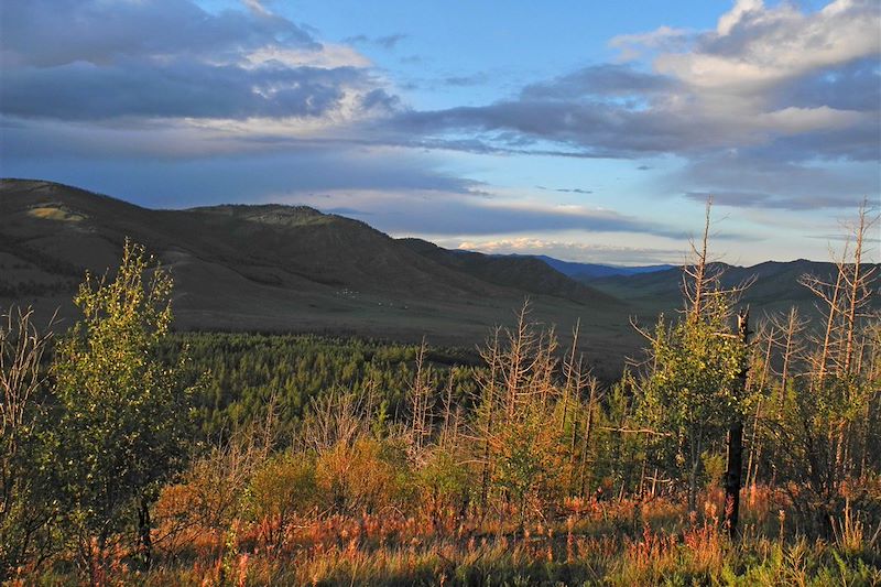 Partez pour un itinéraire dans la région du Khuvsgul, terre des Tsaans et réserve naturelle connue pour son lac et ses volcans