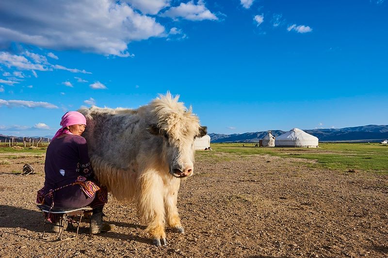 Partez pour un itinéraire dans la région du Khuvsgul, terre des Tsaans et réserve naturelle connue pour son lac et ses volcans