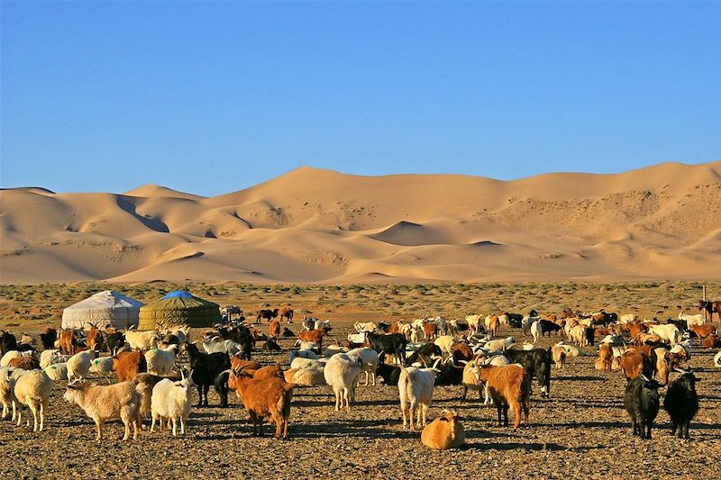 Khongoryn Els - Parc national de Gobi Gurvansaikhan - Mongolie