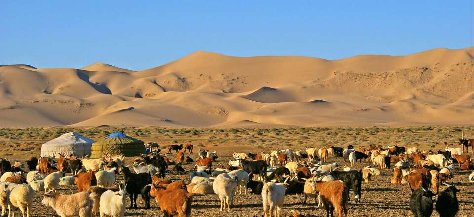 Découverte de la Mongolie en 4x4 et à pied, entre dunes, yourtes et temples pour une traversée intégrale de la steppe