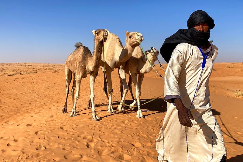 Voyage en Mauritanie dans l'Adrar pour observer le ciel étoilé dans le désert avec l'astronome Marc Buonomo