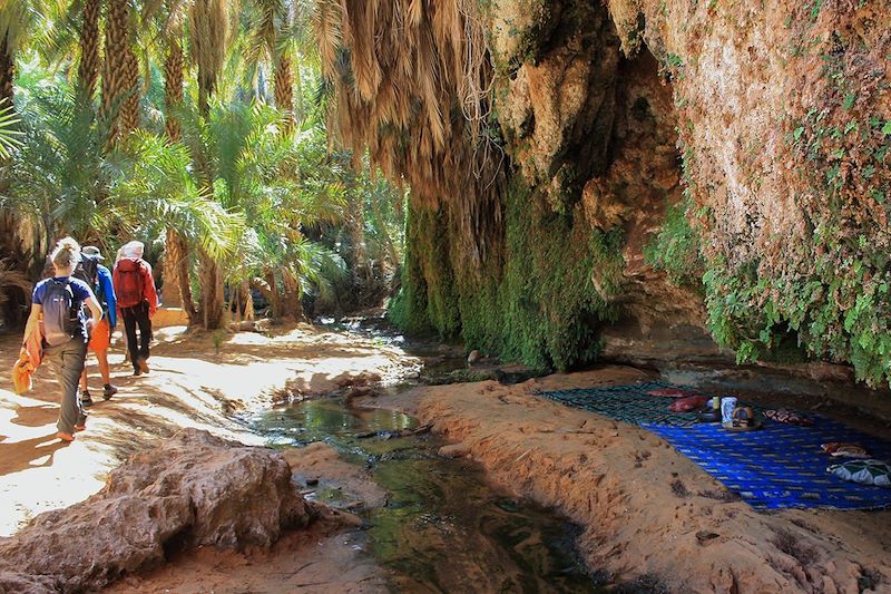 Vers l'Oasis de Terjit - Mauritanie