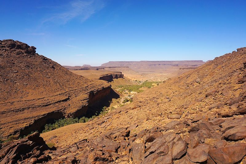 Canyon de Terjit - Mauritanie