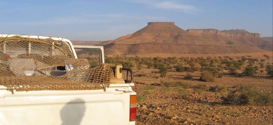 Decouverte 4x4 des plus beaux sites du désert mauritanien: Amsaga, Amatlich,Terjit, Chinguetti, Ouadane, Amagjar...
