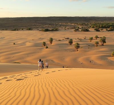 Trek et randonnée Mauritanie