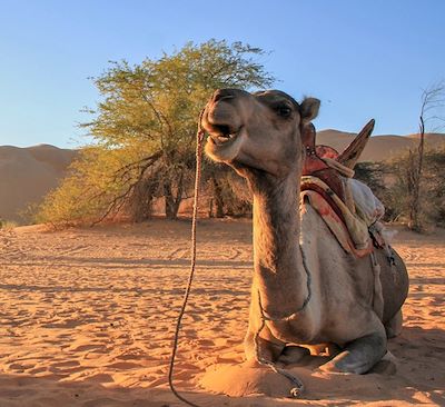 Trek et randonnée Mauritanie