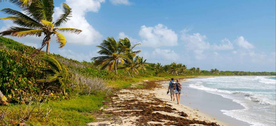 Randonnée Montagne Pelée Martinique La Martinique Perle