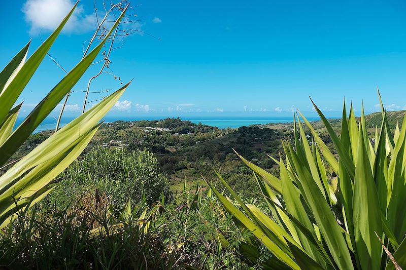 Point de vue depuis le Mont Limon - Rodrigues