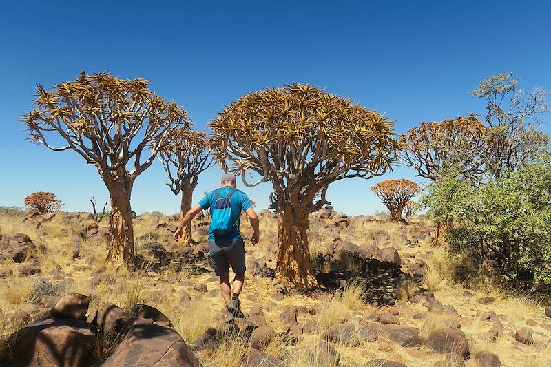 Circuit en Namibie de 15 jours : les incontournables du Fish River Canyon à Etosha, désert du Namib et du Kalahari, fleuve orange