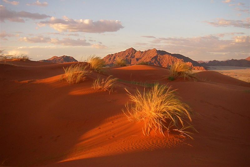 Voyage Famille Namibie, multi-activités avec vos ados: Canoë kayak, surf dans les dunes, safaris animaliers, rando dans le désert 