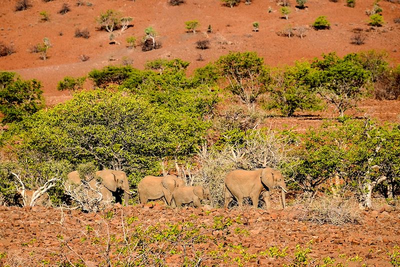 Voyage Famille Namibie, multi-activités avec vos ados: Canoë kayak, surf dans les dunes, safaris animaliers, rando dans le désert 