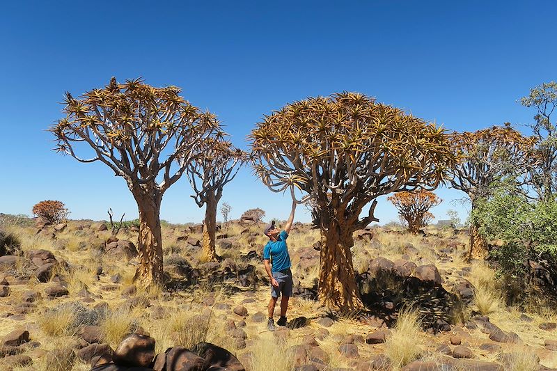 Circuit incontournables de Namibie et safari: Kalahari, Fish River Canyon, chutes d'Epupa, Namib, Etosha, Himba, Damaraland etc...