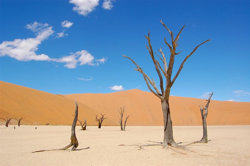 Dead Vlei - Désert du Namib - Namibie