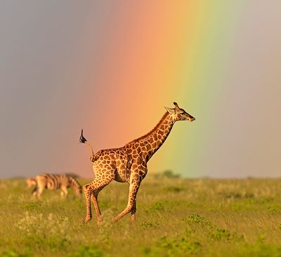 Circuits en petit groupe Namibie