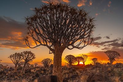 voyage Namibie