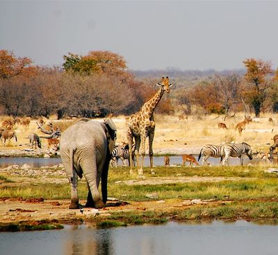 Circuits en petit groupe Namibie