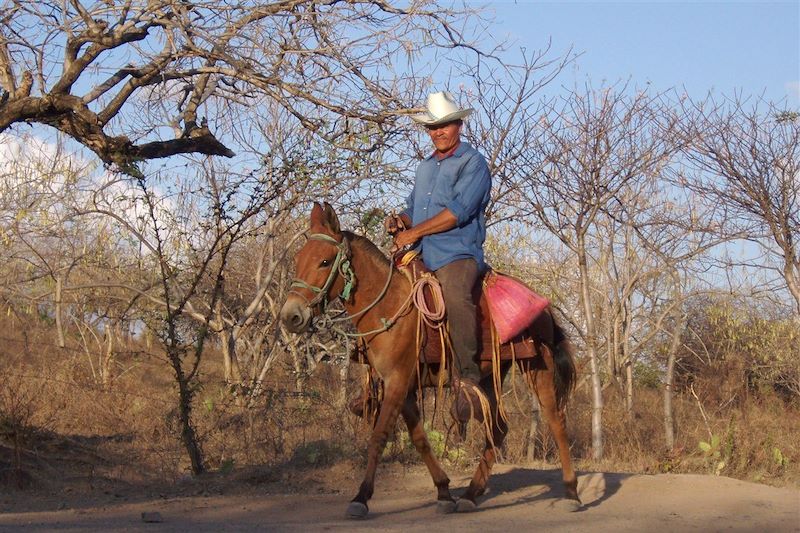 Homme à cheval - Nicaragua