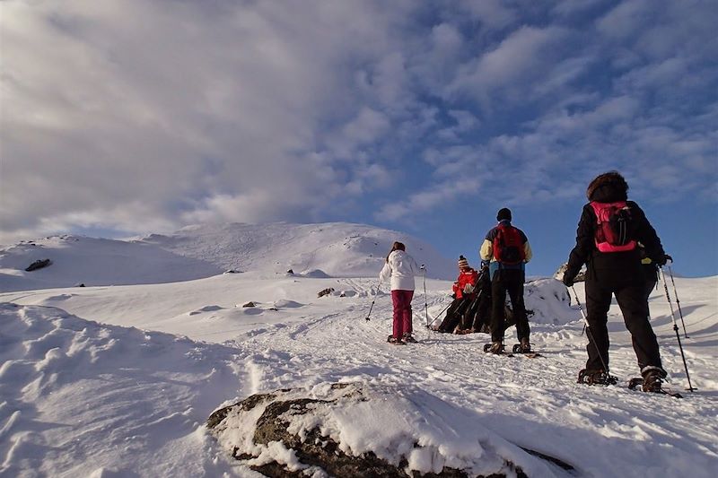 Observation des aurores boréales à Tromso et balades à raquette en immersion dans le Grand Blanc