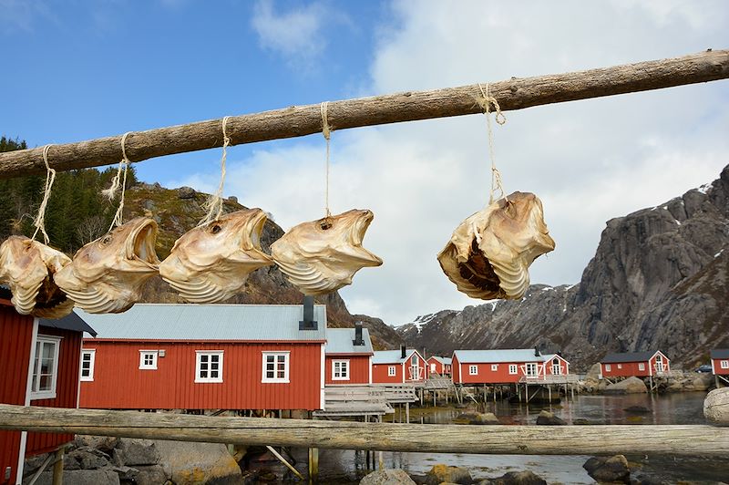 Escapade nature : randonnée, balade le long de la plage, découverte du mode de vie des pêcheurs et des artisants