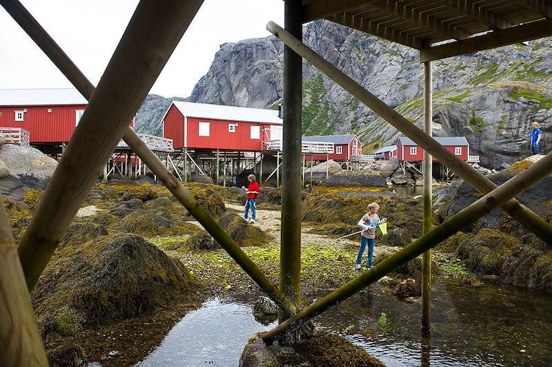 Voyage famille aux Lofoten, rando, kayak et pêche