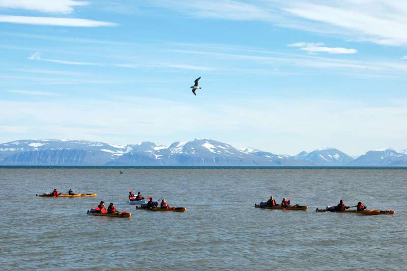 Rando-kayak au fil des glaces de l'Isfjord